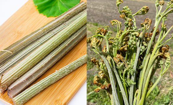 自然栽培（無農薬）の山菜